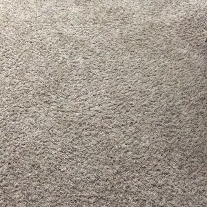 Meet your Posher, Shasta